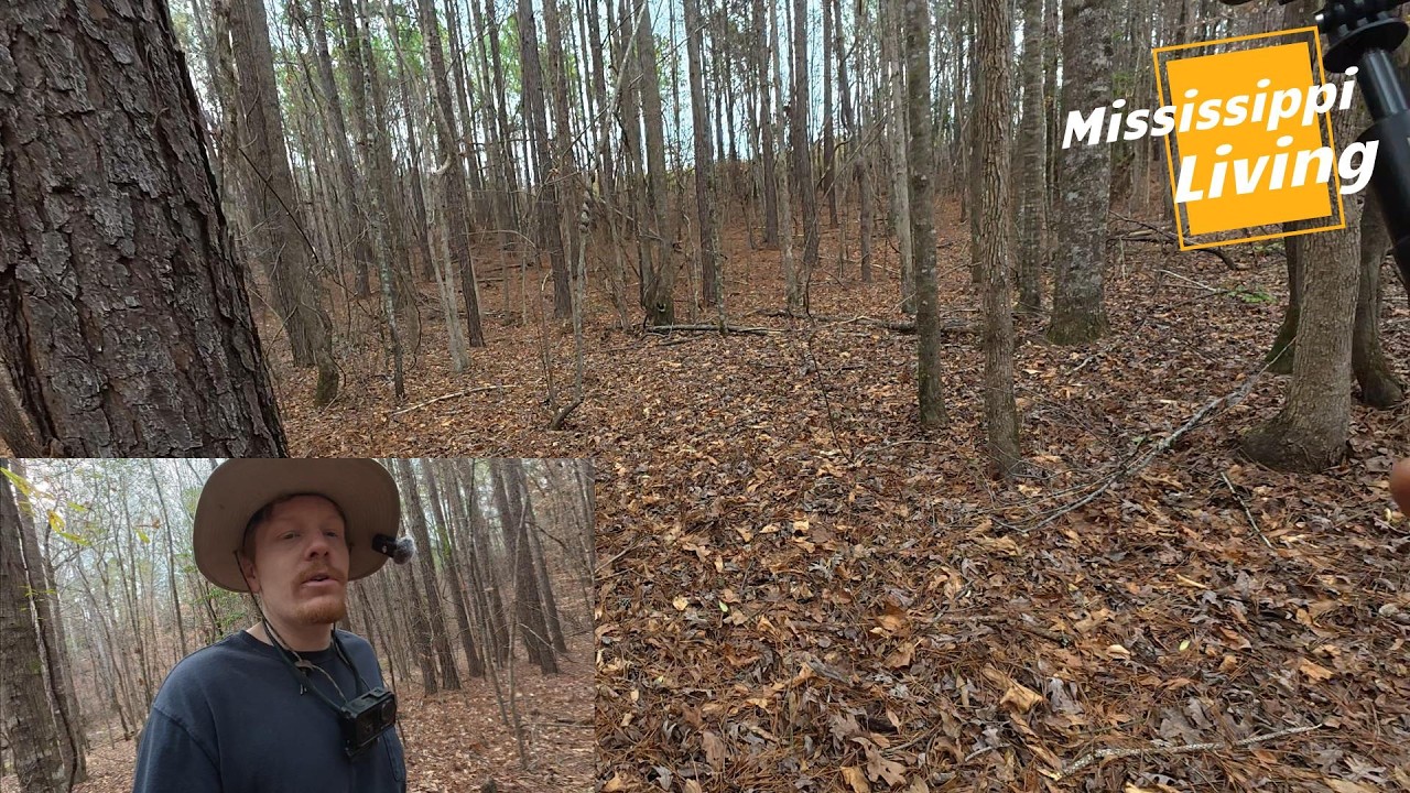 Scouting Out A New Trail
