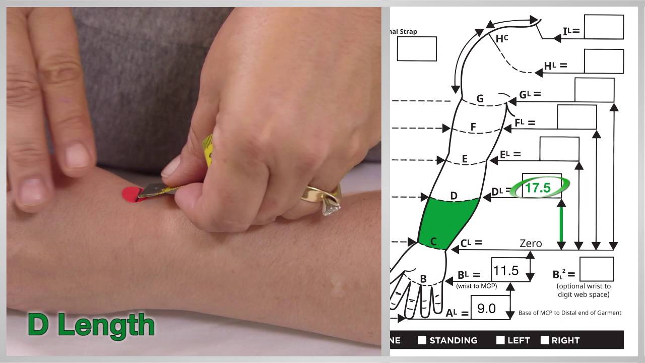 TributeNight™ Arm Measuring Video