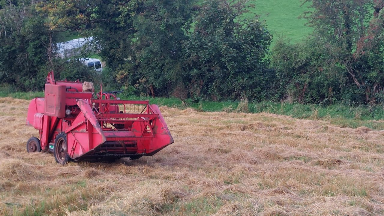 Massey ferguson 735 combine in action