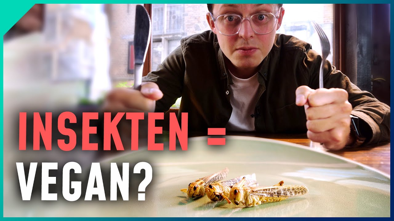 Empfinden Insekten Schmerzen?