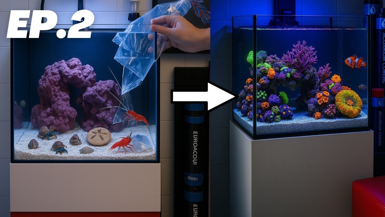 Equipo de limpieza, los primeros habitantes y los más importantes…Empieza la vida en el nano…