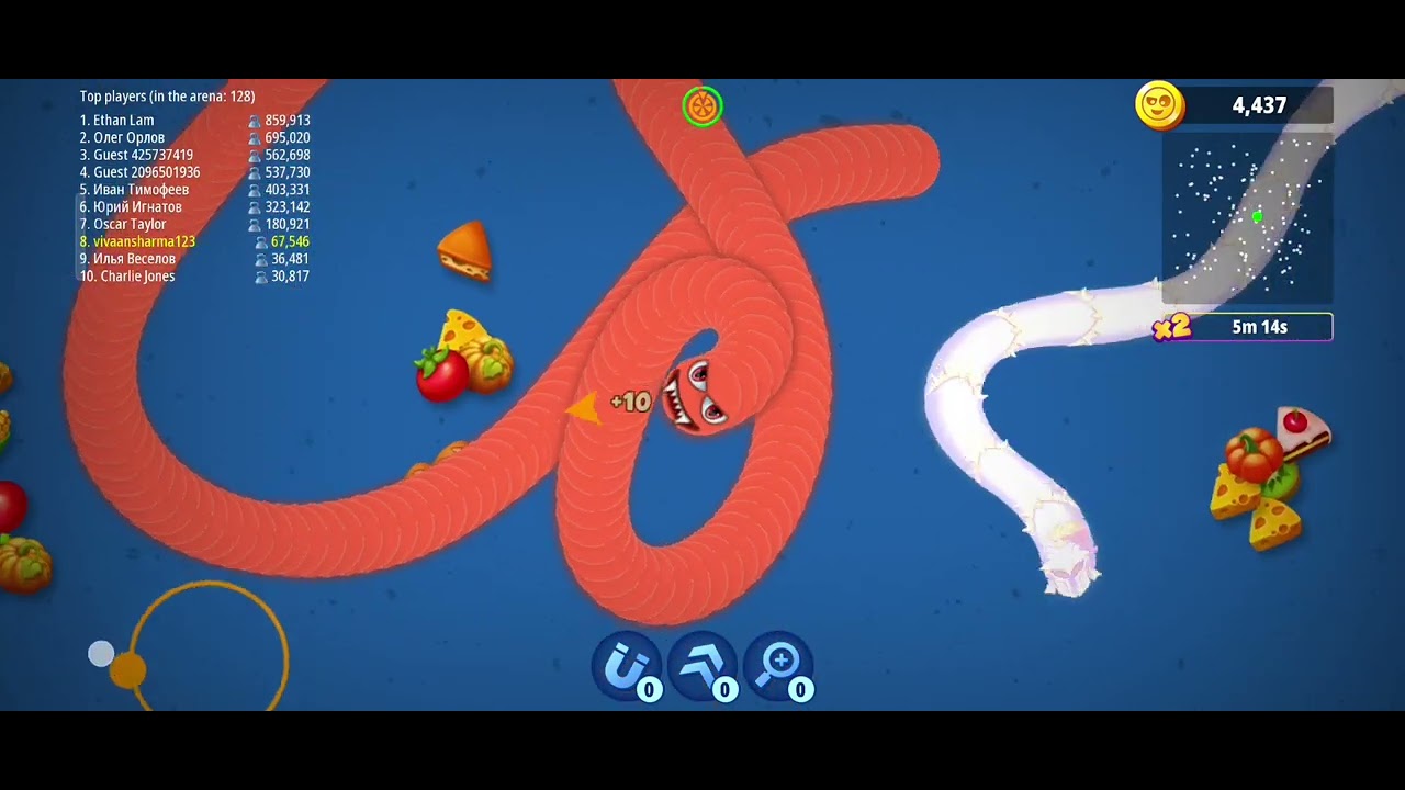 🐛 worms zone 🐛