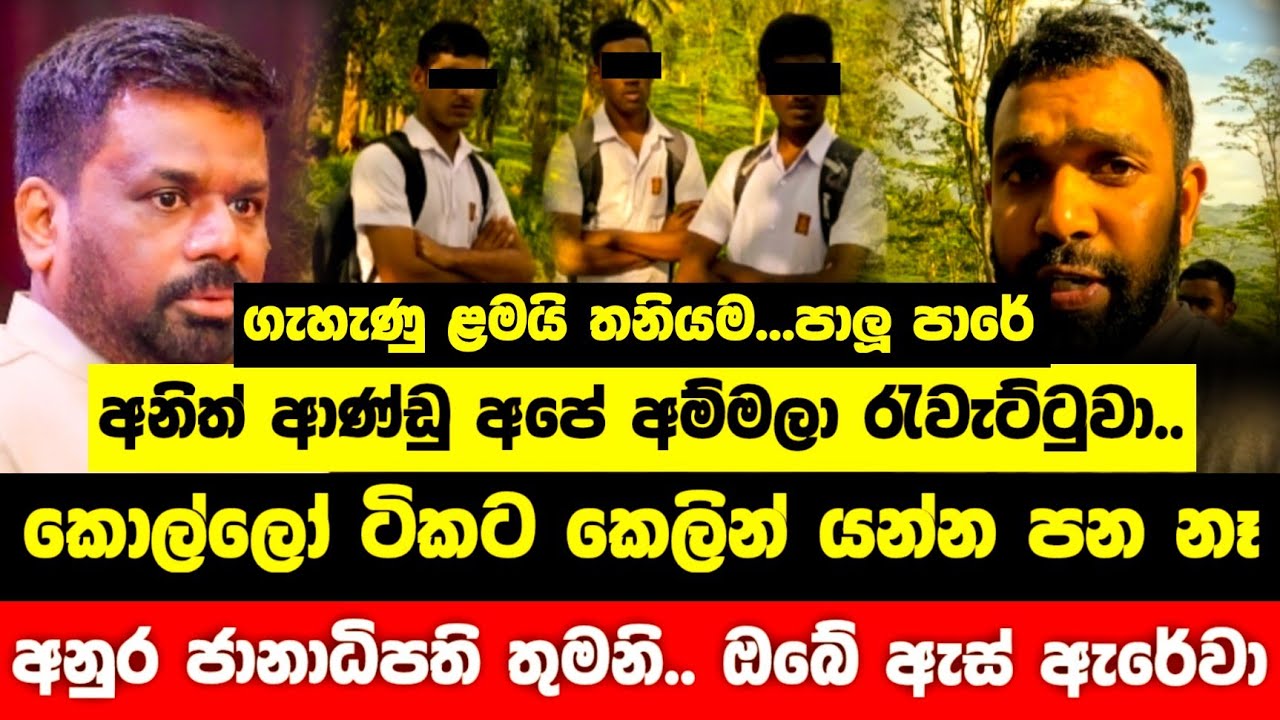 අනුර මාමා තමා අපි ගැන බලන්නේ | Anura Kumara Dissanayake 