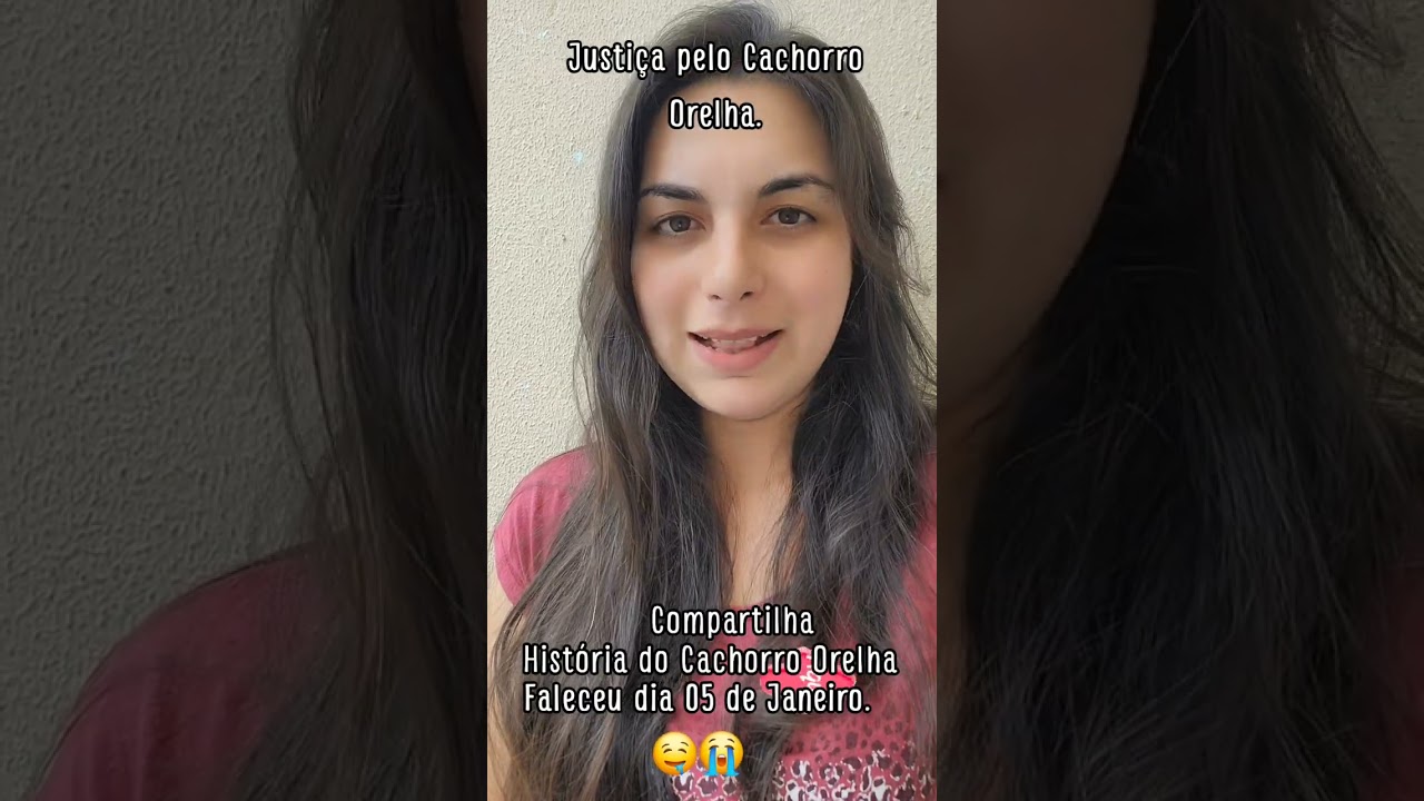 JUSTIÇA PELO CACHORRO ORELHA