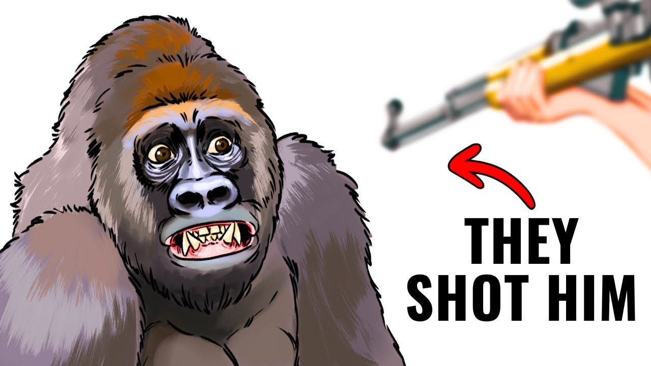 Your Life as Harambe