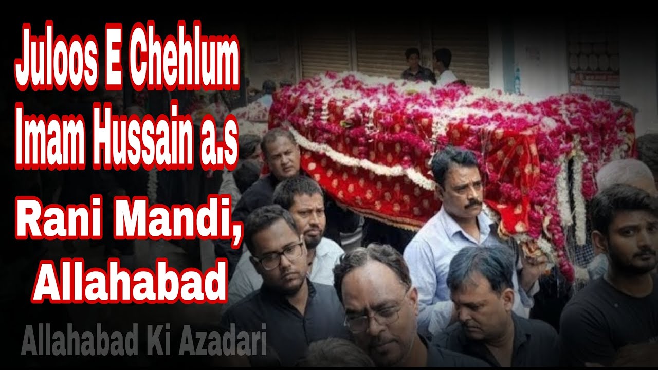 Live Juloos E Chehlum, Rani Mandi,  Allahabad 2025 | 20 Safar 1447 Hijri || Arbaeen Allahabad