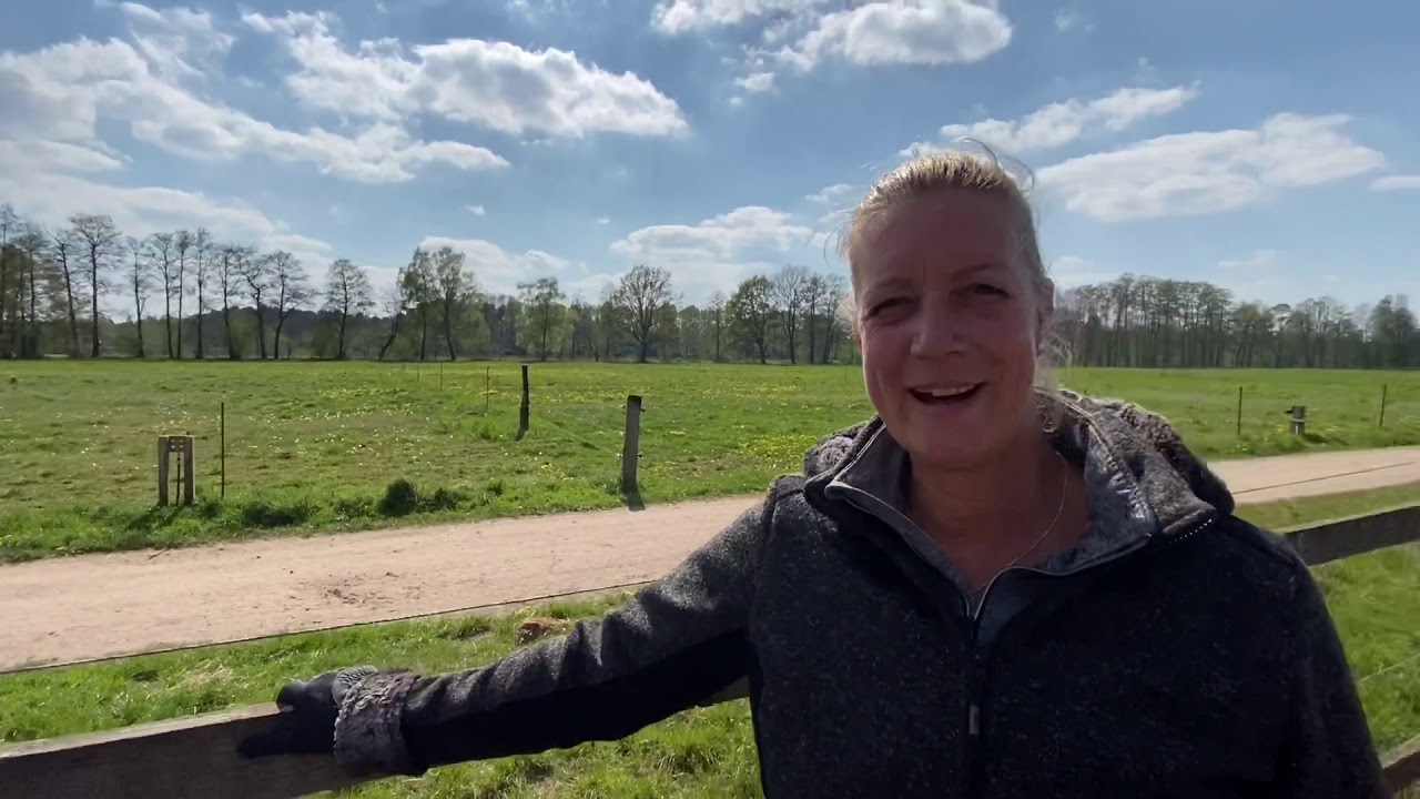 Haltung von Islandpferden auf dem Bockholts-Hoff