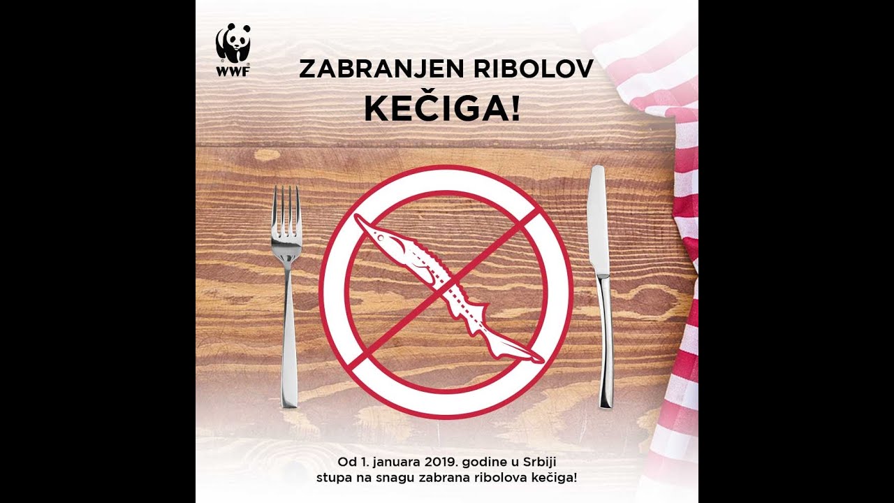 GRABLJIVCI (režija Dragan Gmizić, dokumentarni film, 2019)