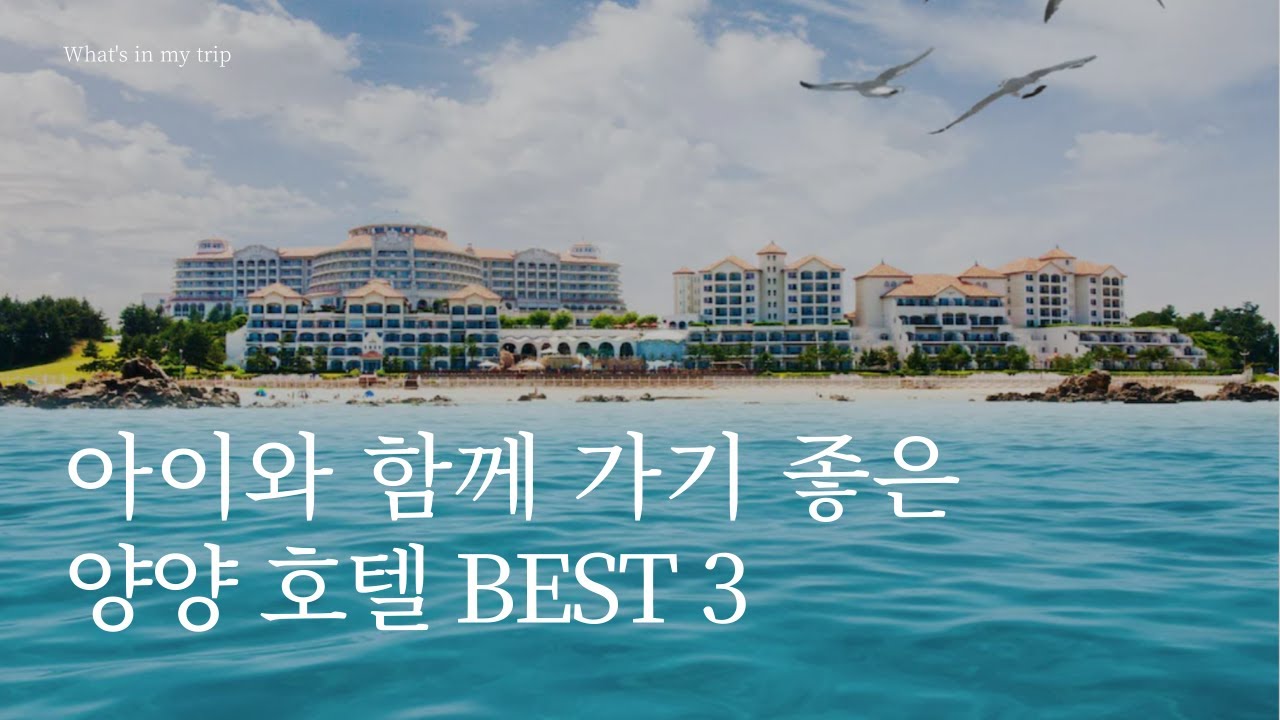 양양 호텔 추천 3곳 | 쏠비치, 낙산비치 , 투와이 | 오션뷰가 매력적인 가족여행 숙소