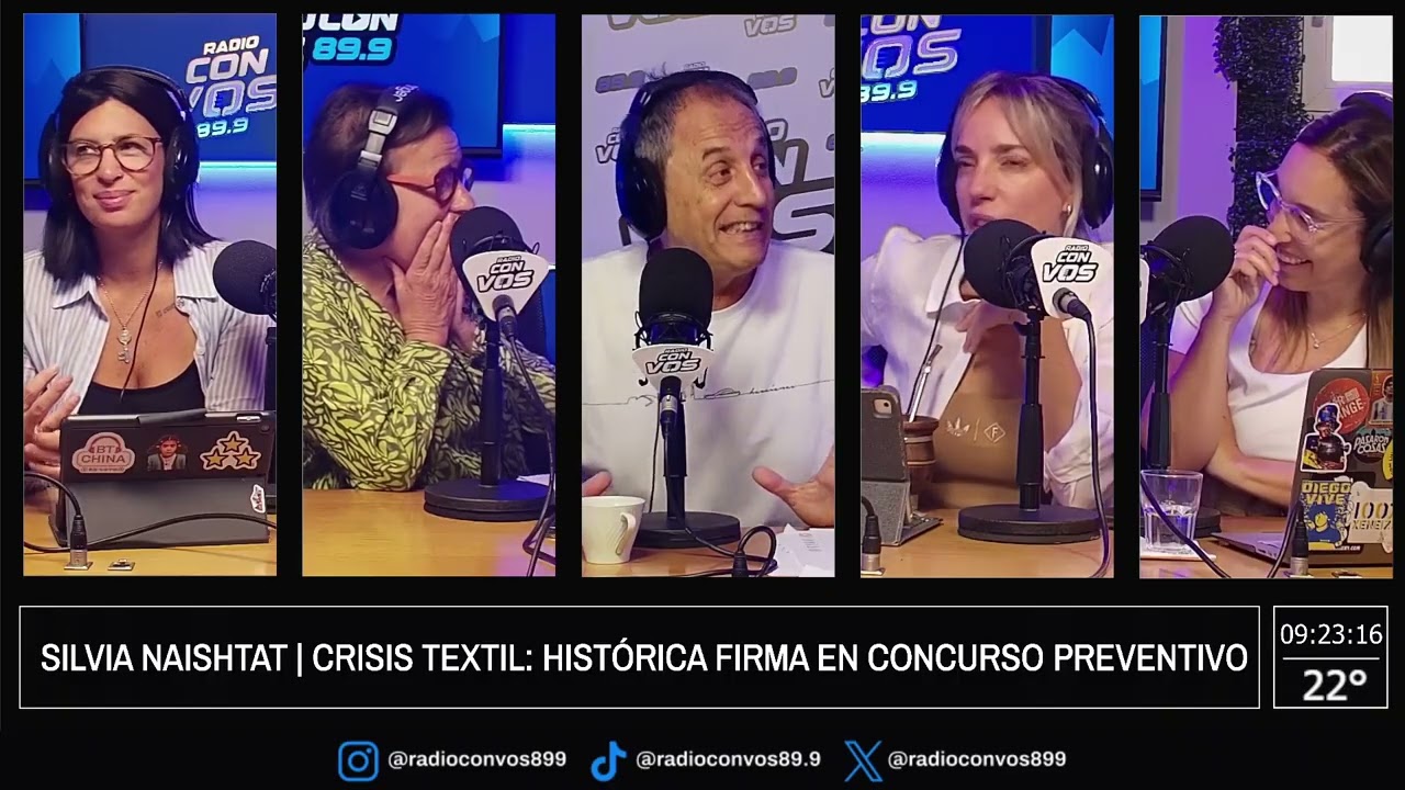 CRISIS en la INDUSTRIA ARGENTINA | SILVIA NAISHTAT