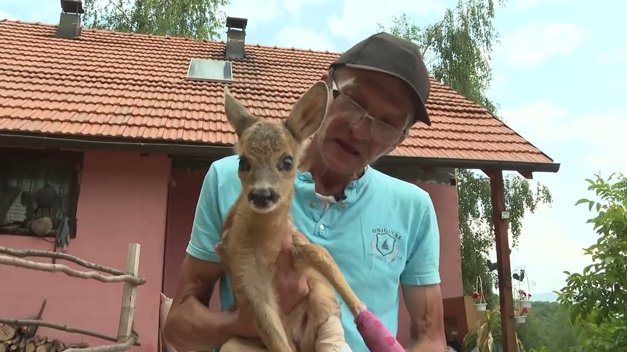Veliku ljubav prema životinjama pretočio je u mali zoo vrt