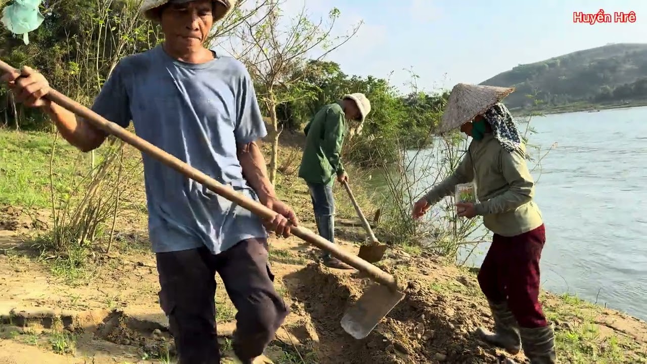 Huyền Hrê cùng bố với mẹ đi trồng cỏ cho  bò vào buổi sáng 