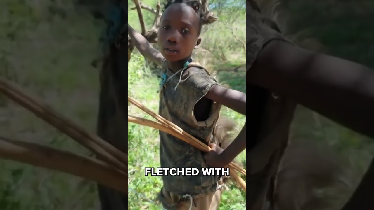 Uncovering Human Evolution: Hadza Tribe's Archery Secrets