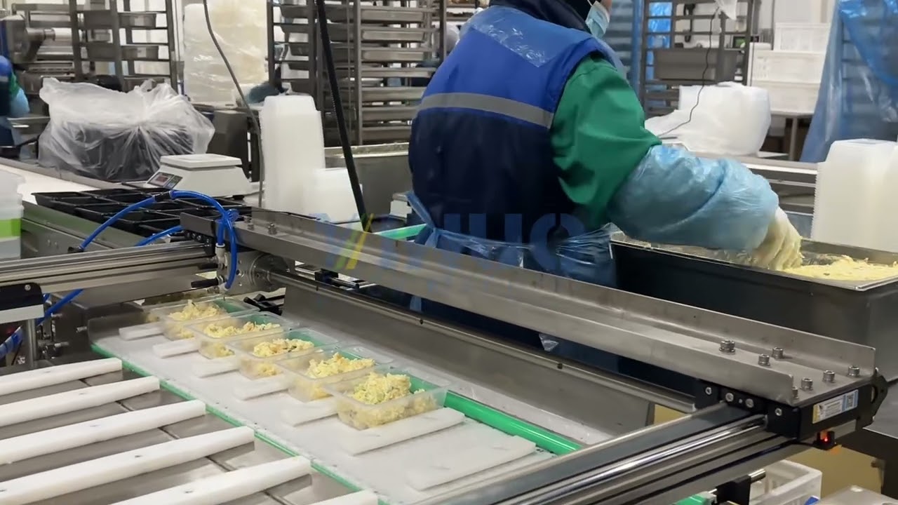 Salad Map Packaging Machine Vegetables Trays Vacuum and Nitrogen Gas Insert Machine