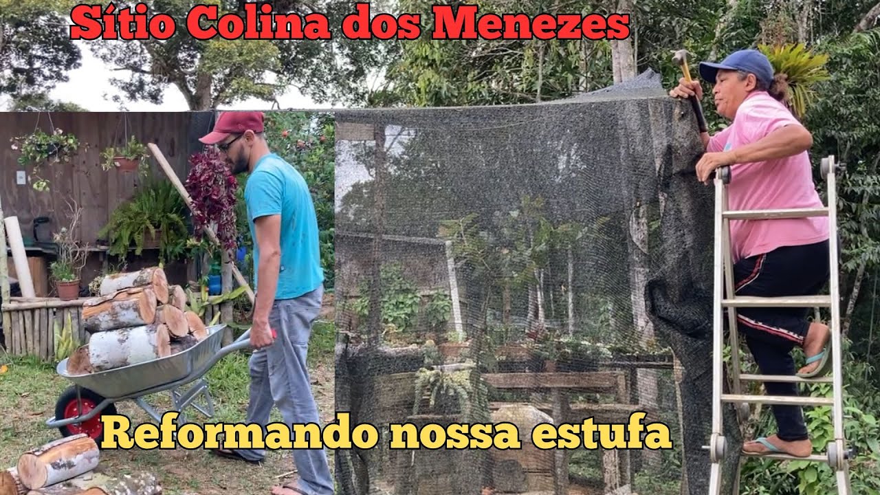Sítio Colina dos Menezes - Reforma da estufa depois da queda da arvore