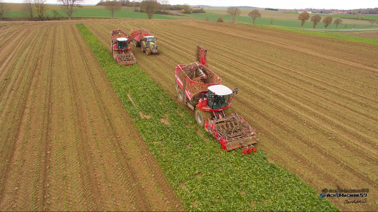 ARRACHAGE DE BETTERAVES 2016 | 2X GRIMME REXOR 620
