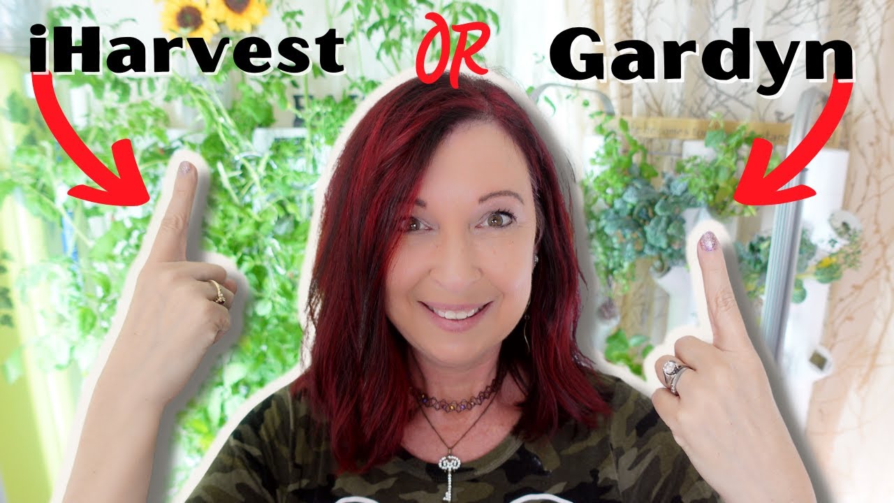 iHARVEST против GARDYN — ПОДРОБНЫЙ ОБЗОР ДВУХ ПОПУЛЯРНЫХ САДОВЫХ БАШЕН ДЛЯ ДОМА