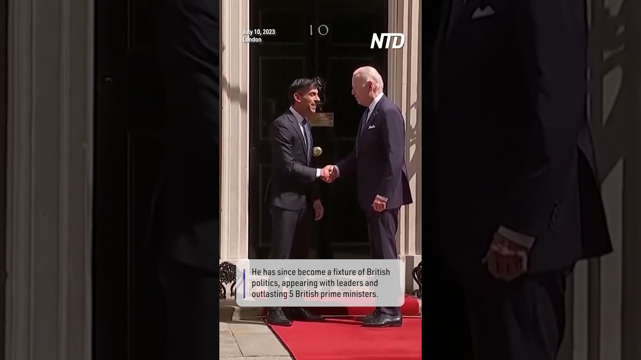 Larry the Cat Celebrates 15 Years as Number 10 Downing Street&rsquo;s Chief Mouser