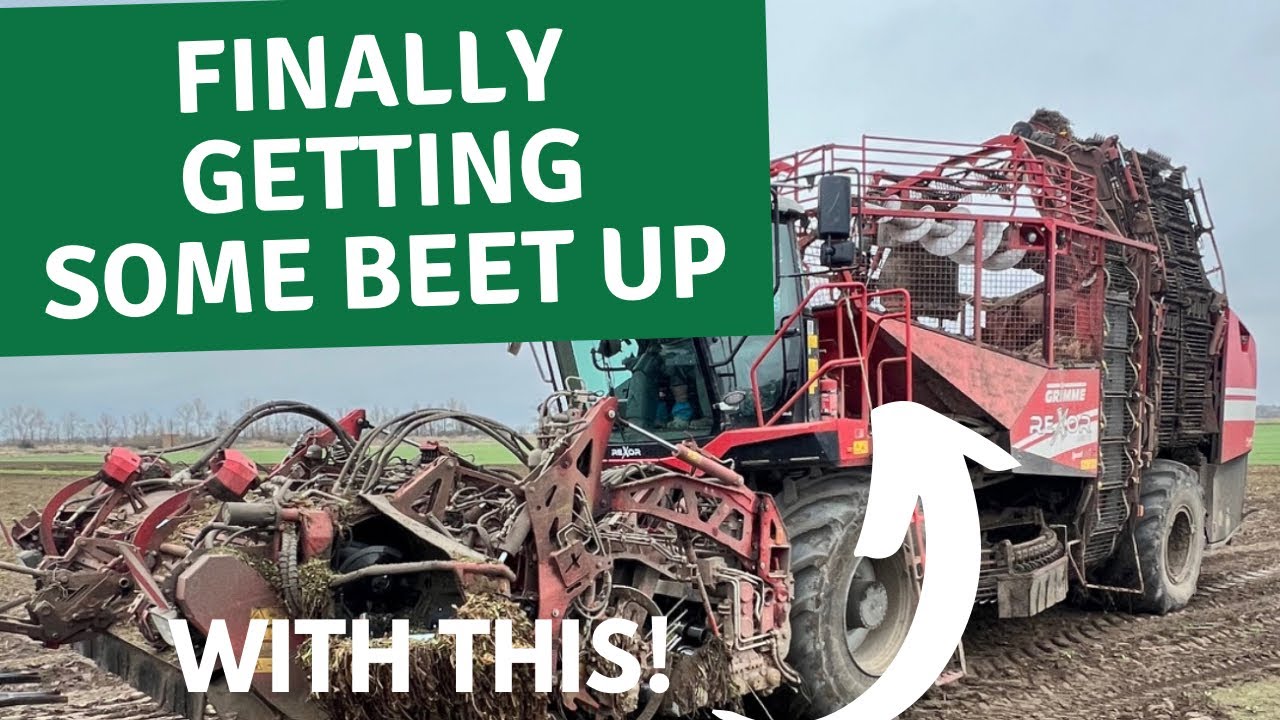 SUGARBEET LIFTING   PART 1
