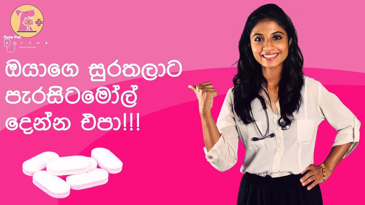 1. බල්ලන්ට පූසන්ට පැරසිටමෝල් මාරාන්තිකයි!!! Why Paracetamol is not recommended for pets?