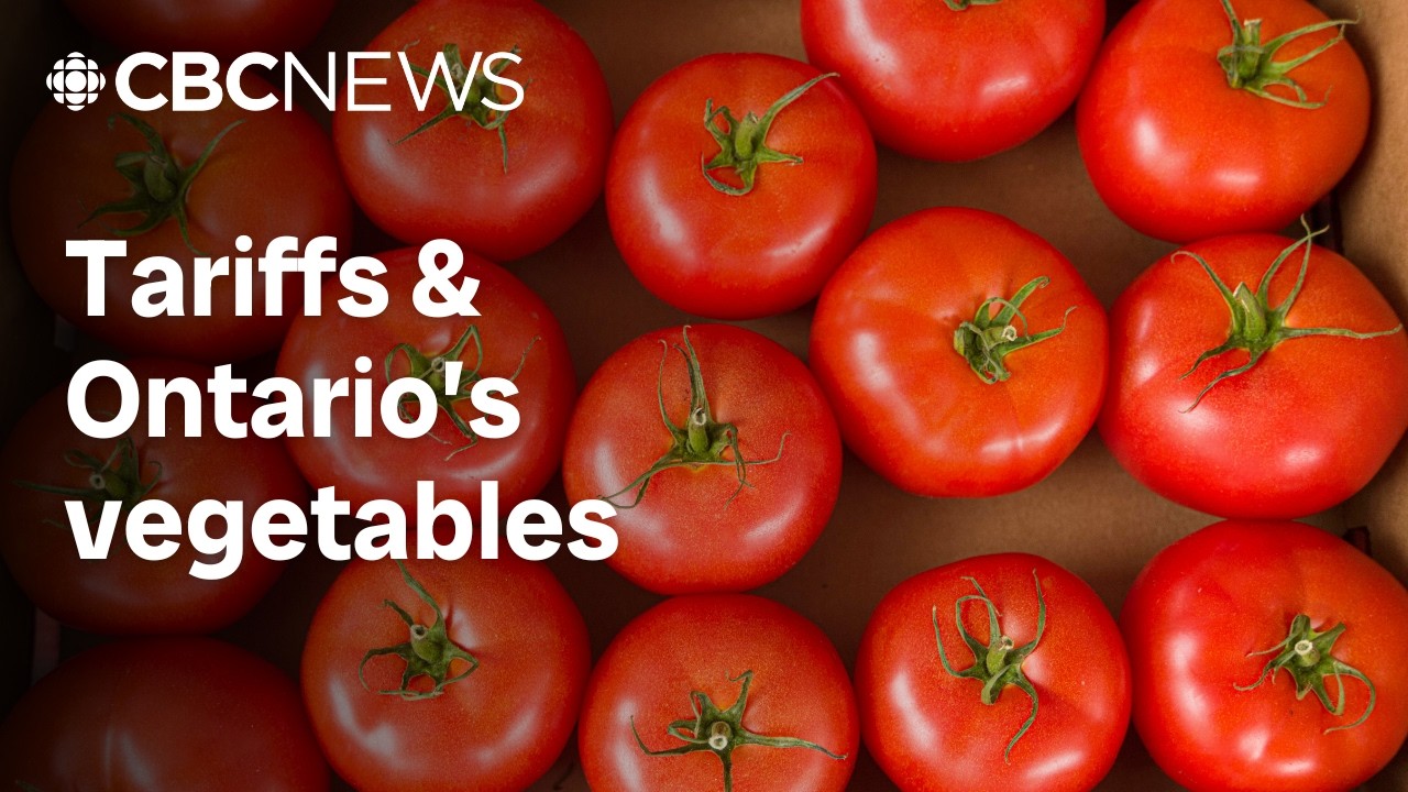 What U.S. tariffs would mean for Ontario&rsquo;s massive vegetable export industry