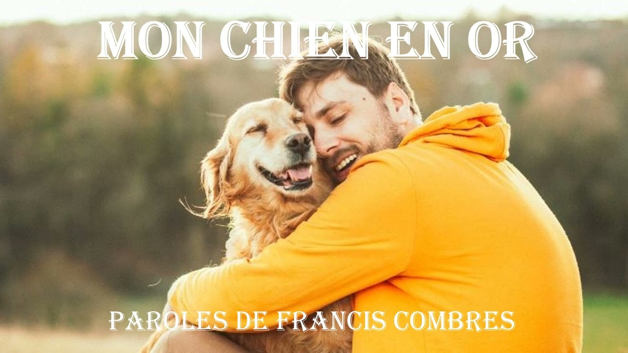 Mon chien en or