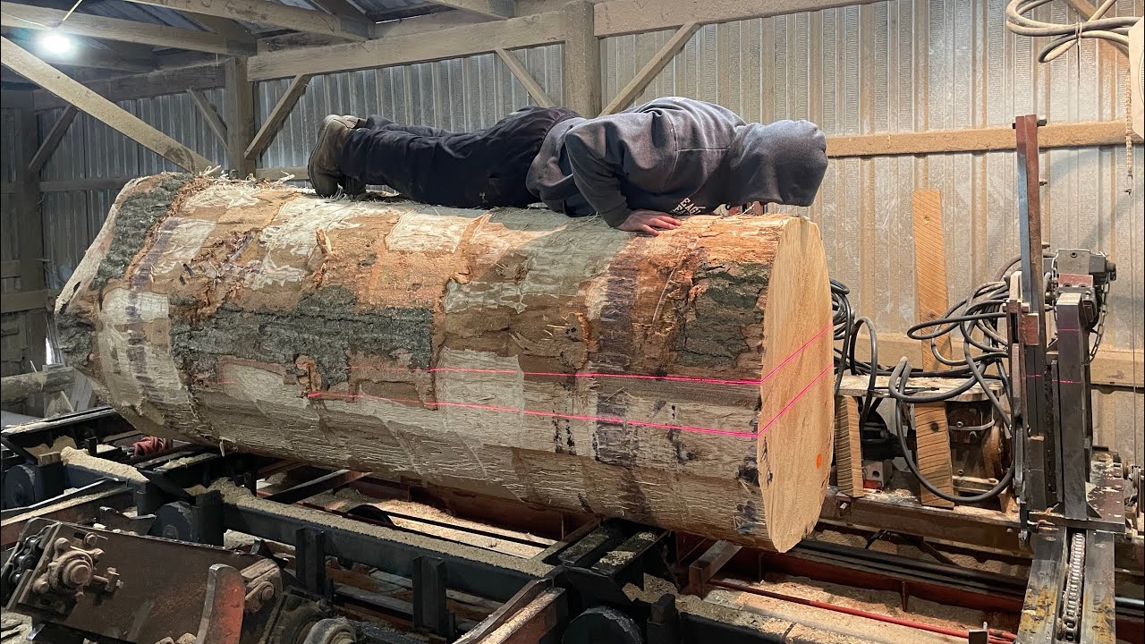 Quickly Sawing Through a Massive 3 Feet Red Oak!! #105