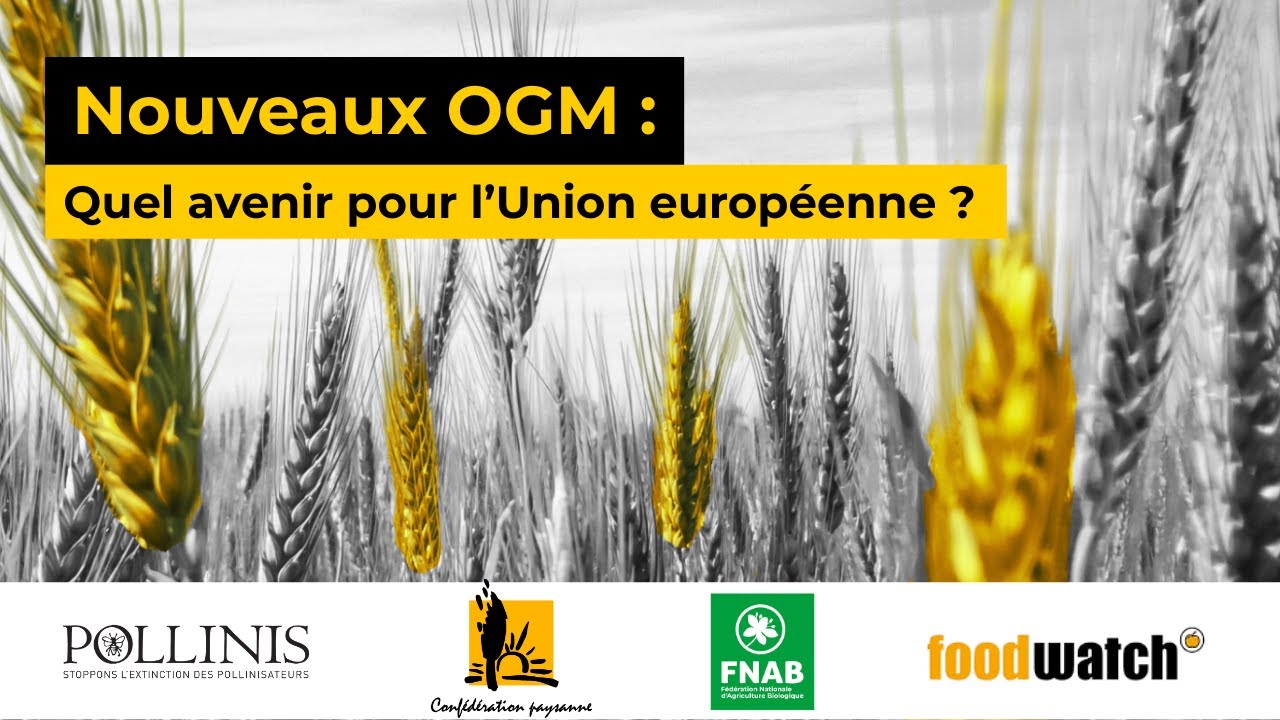 Nouveaux OGM : Quel avenir pour l'Union européene ?