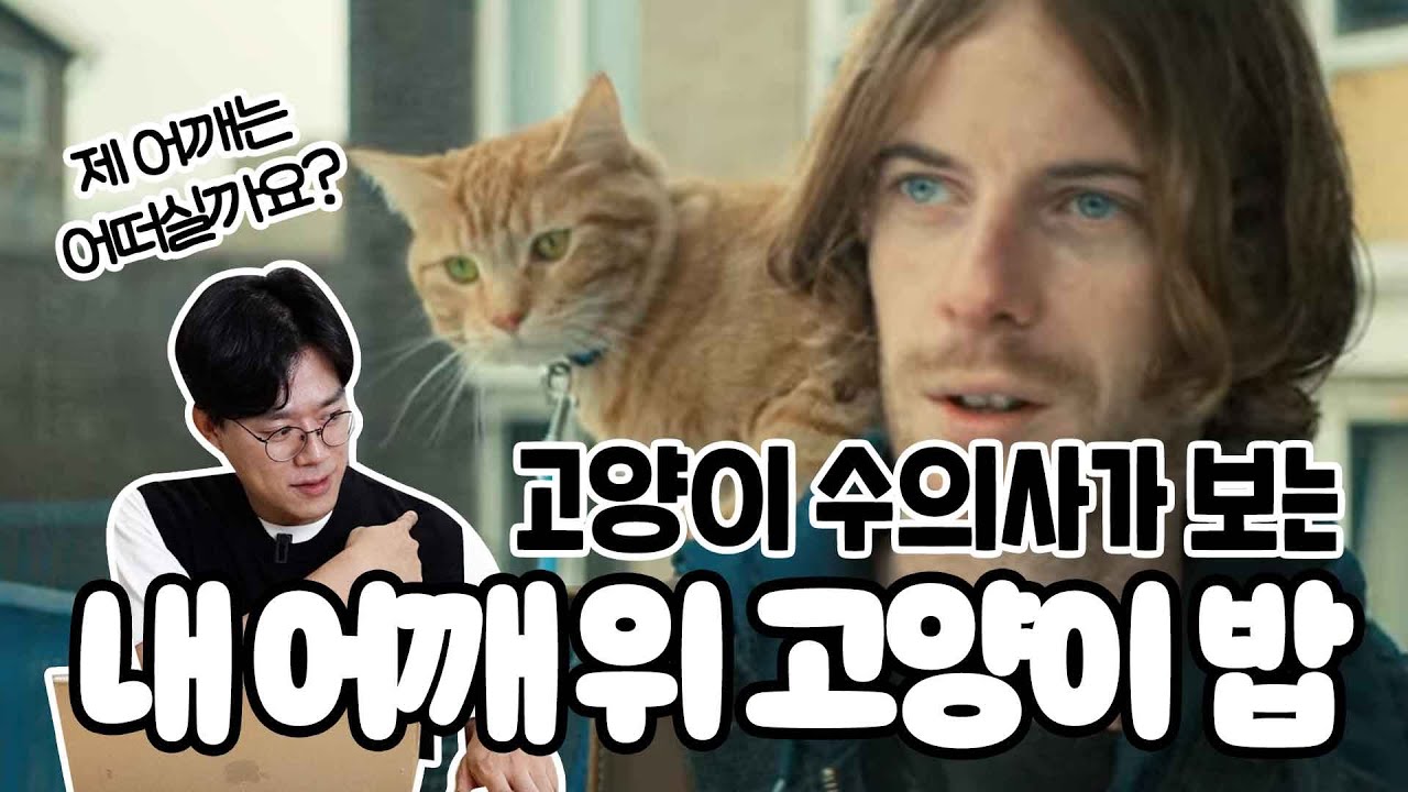 내 어깨를 봐 아무도 없잖아😿고양이 만나 인생역전한 이야기를 본 수의사의 반응?