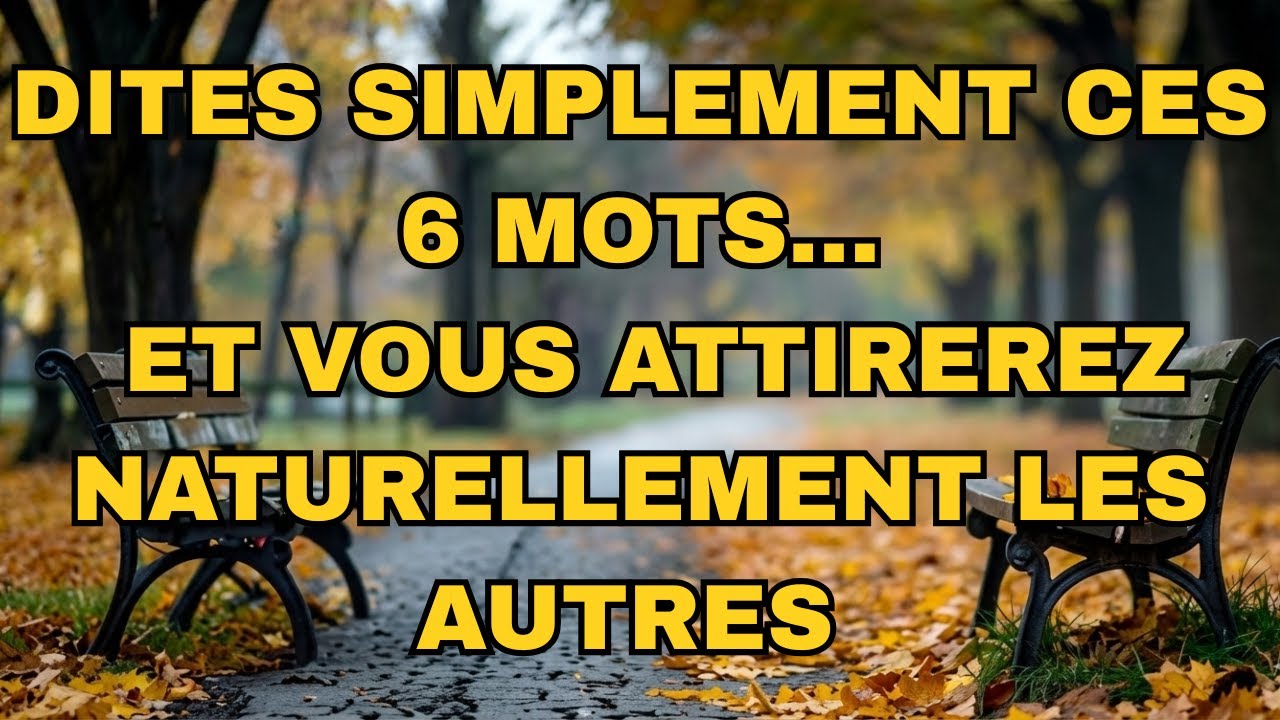 Dites simplement ces 6 mots… et vous attirerez naturellement les autres |  | Shi Heng Yi