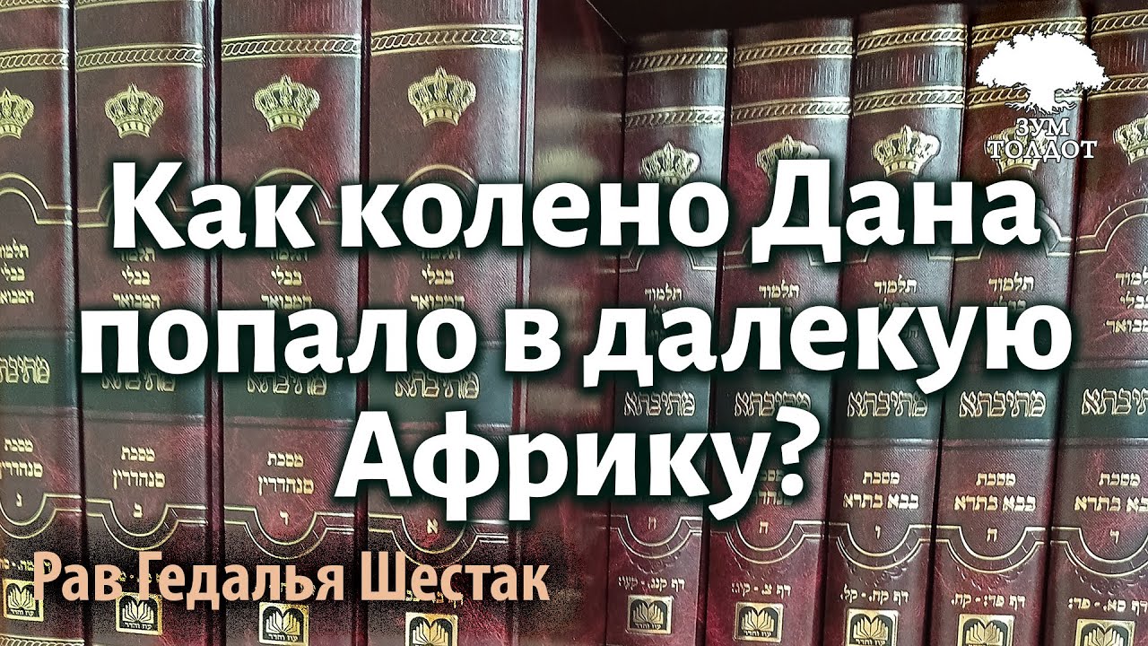 [6 часть]Как колено Дана попало в далекую Африку? Рав Гедалья Шестак
