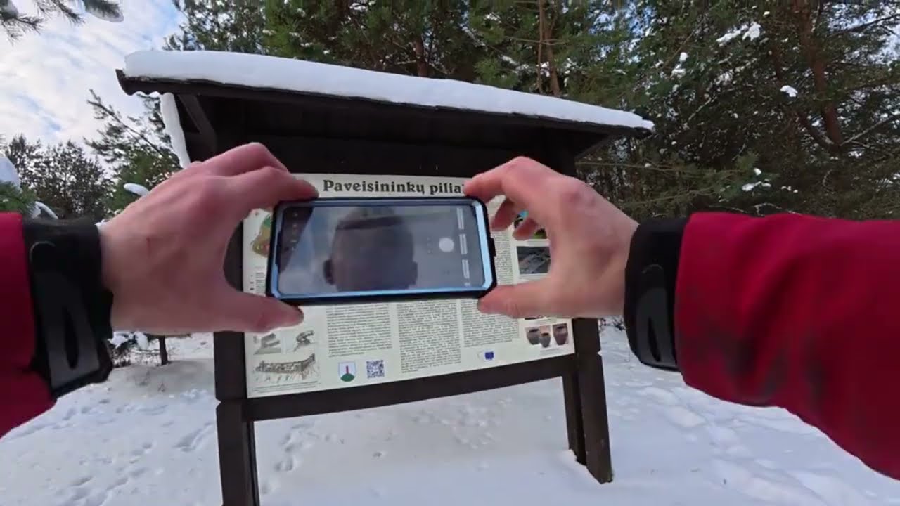 Paveisininkų piliakalnis Mound