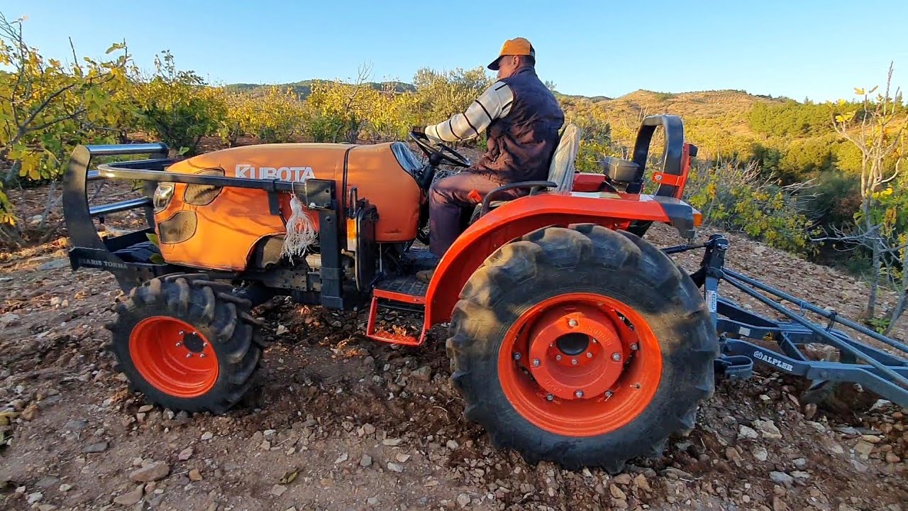 İncirde Neden Kış Öncesi Sürüm yapıyoruz - 5 Litre Mazotla Bu İş Olur mu ?