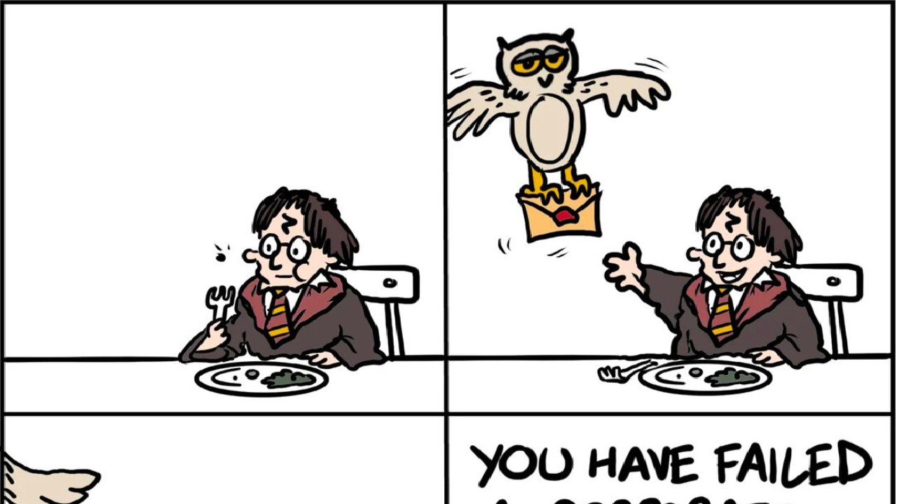 HARRY POTTER MEMES V2