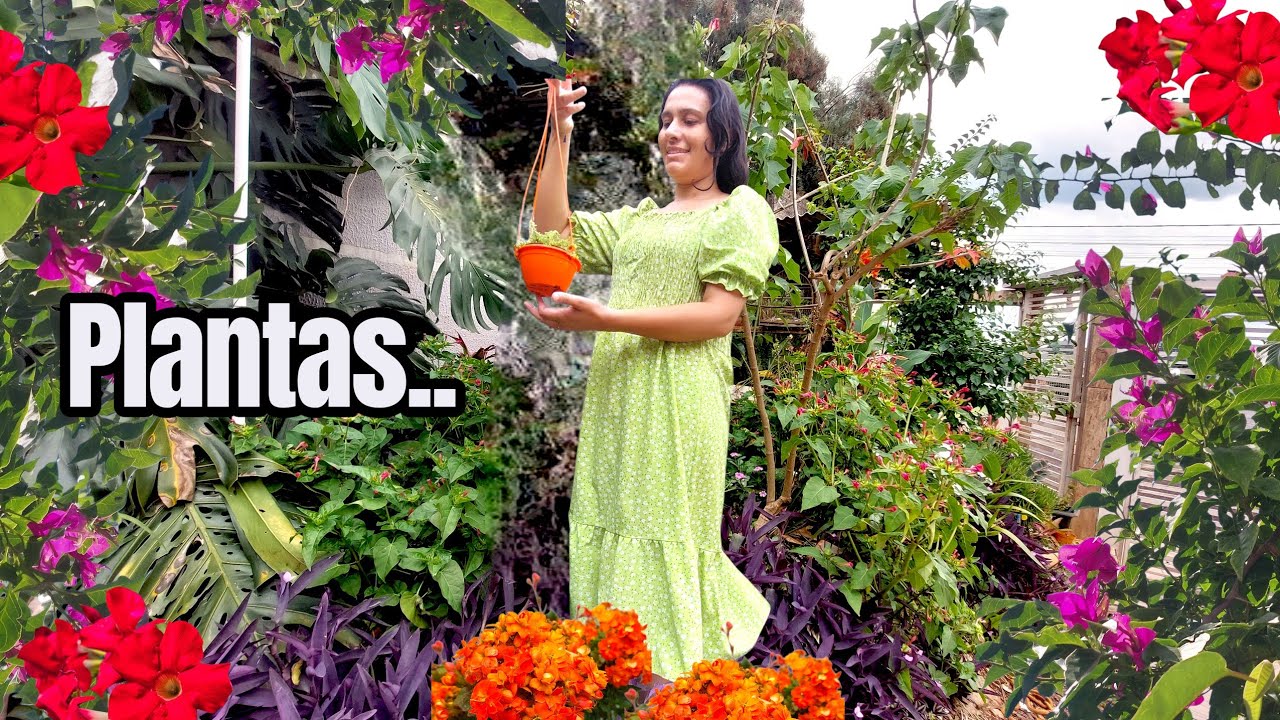 COMO TER MUITAS PLANTAS LINDAS EM UM PEQUENO ESPAÇO DE CASA 