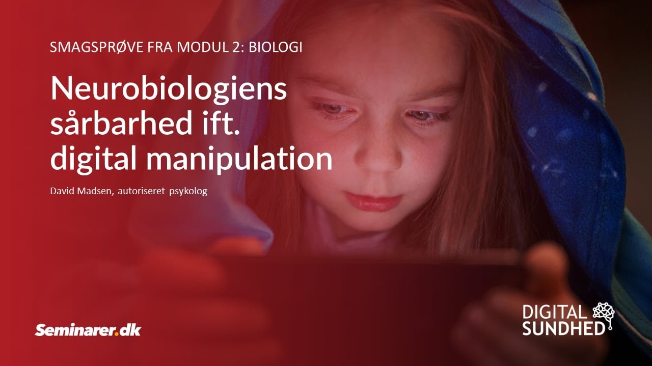 Smagsprøve: Psykolog David Madsen om neurobiologiens sårbarhed ift. digital manipulation