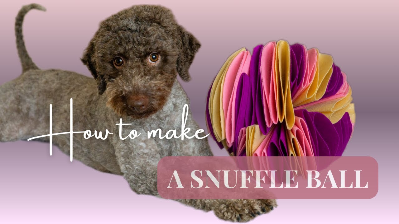 How to make a DIY Snuffle Ball dog toy
