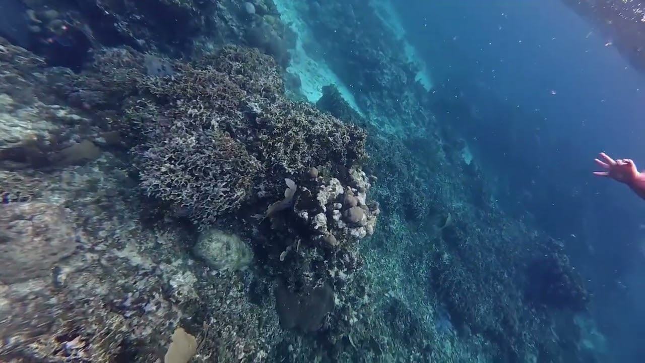 Roatan