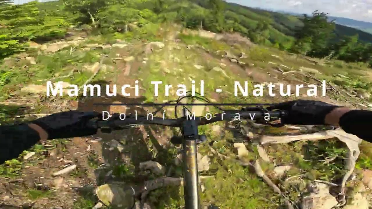 [Dolní Morava 2024] Mamuti Trail - sekcja Natural PR