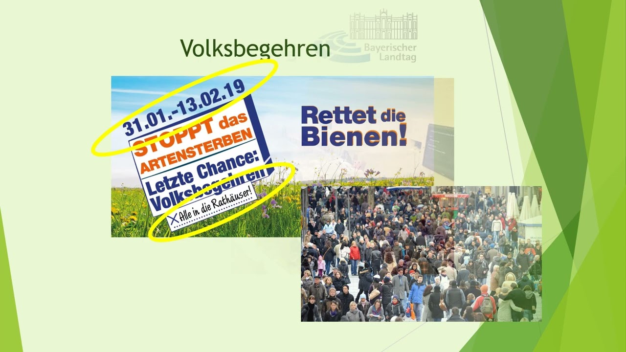 Volksbegehren und Volksentscheid