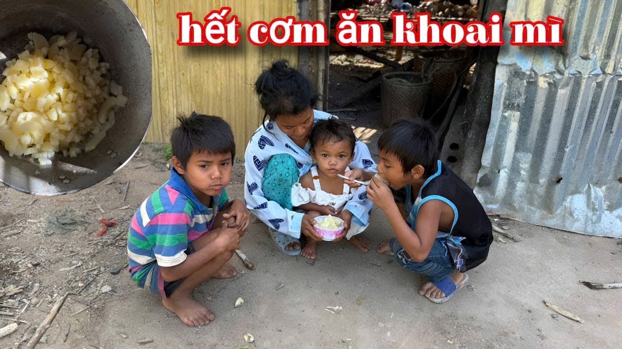 HẾT GẠO RỒI, ăn khoai mì thay cơm thôi mẹ ơi !!! Mình chờ CHA về nhé. | 737