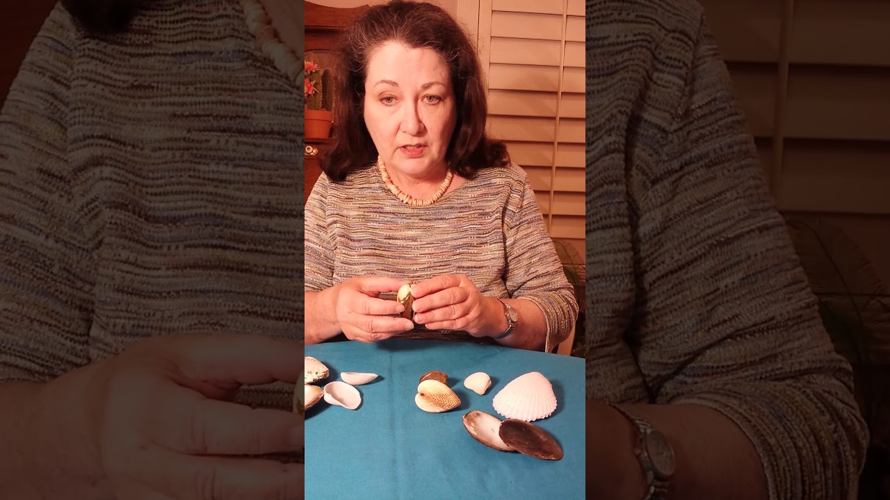 Intro to Bivalves: Part 1 of 3