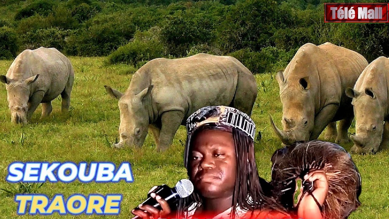 SEKOUBA TRAORE (BANI ET MOUSSA DIALLO) Africa’s Greatest Musician_ A Tragic Saga (YOUSSO)