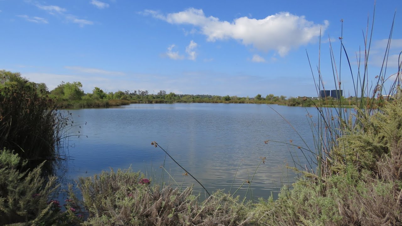 Natural walk in IRWD San Joaquin Mash & Wildlife Sanctuary. Irvine, California.