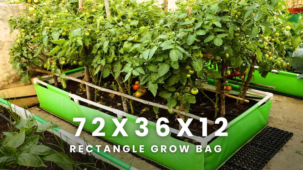 HDPE 72x36x12 Rectangle Grow Bag With Pvc Pipes Frame for Home Gardening | OrganicBazar