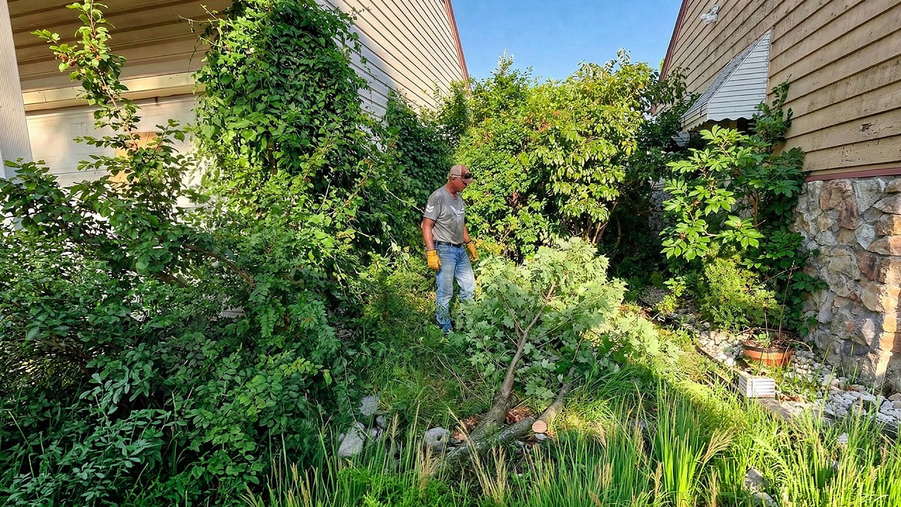 Homeowner SHOCKED With PRIDE After His Lawn Turned From GHETTO To FABULOUS