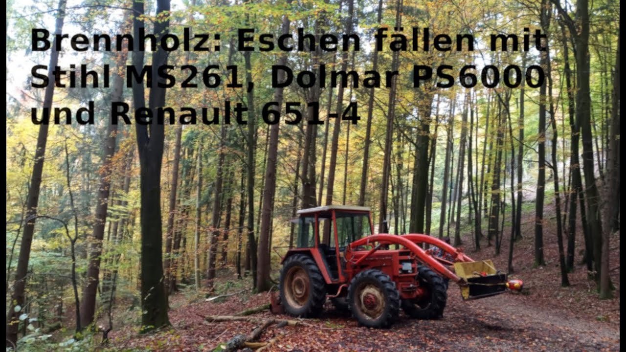 Brennholz ernten: Eschen fällen mit Stihl, Dolmar und Renault