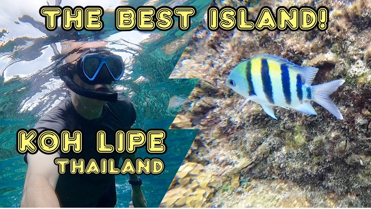 Snorkel in paradise - KOH LIPE Island - 🇹🇭 THAILAND -Southeast Asia Ep:19