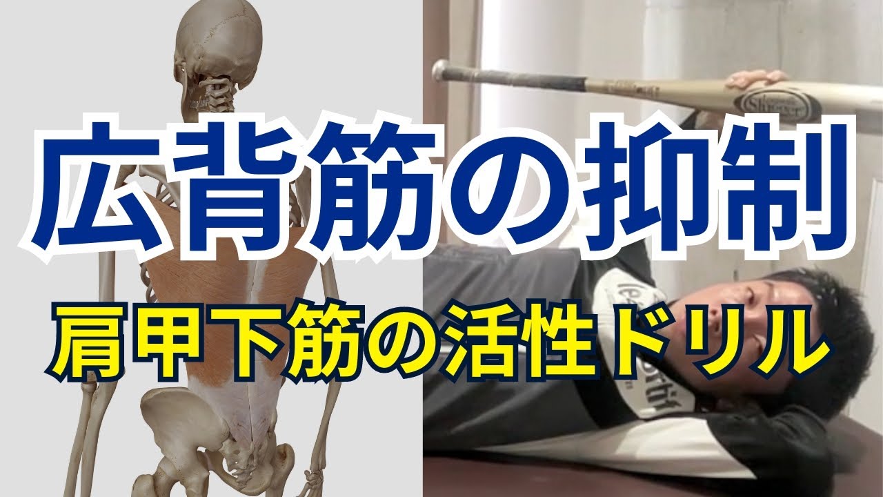 【広背筋の抑制方法＆肩甲下筋の活性ドリル】巻き肩・肩の痛み＆可動域制限の改善に直結する「広背筋」と「肩甲下筋」の関係性！【愛媛県松山市 ピラティス・整体】