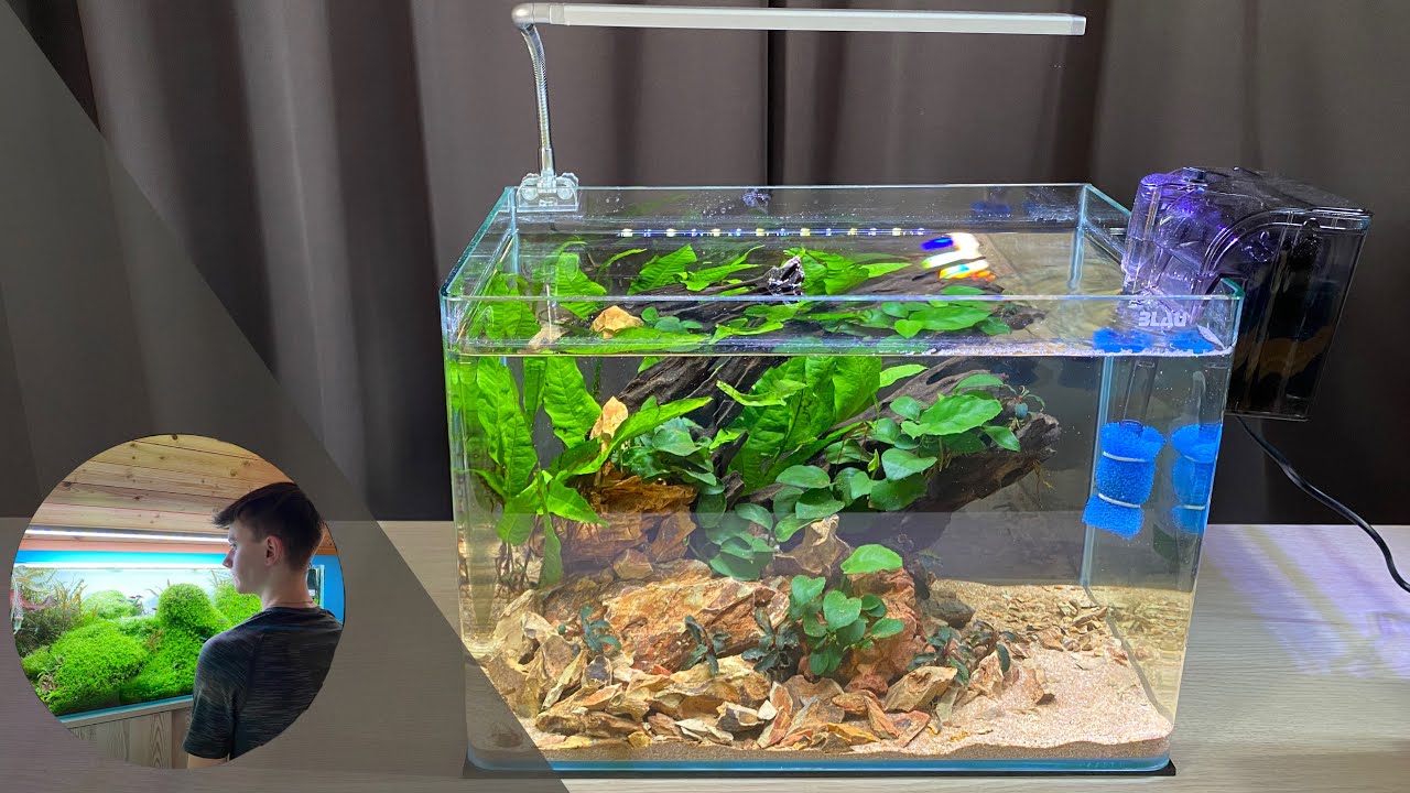 Jak založit akvárium pro ZAČÁTEČNÍKY??? Low-tech akvárium